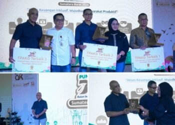 Pemkab Solok Raih Penghargaan Tiga Terbaik TPAKD Tahun 2024 Dari OJK Sumatera Barat