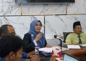 Dinas Kominfo Laksanakan Penilaian Interviu Evaluasi SPBE Kabupaten Solok Tahun 2024 oleh Kementerian PAN-RB