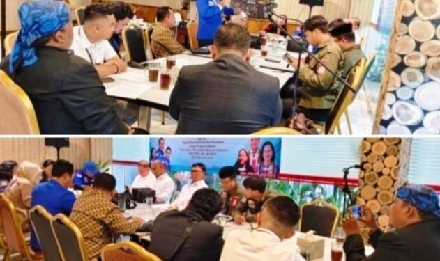 Ketua Umum DPP – PPDI Feri Sibarani Minta Presiden Prabowo Intervensi Persoalan Pers Indonesia