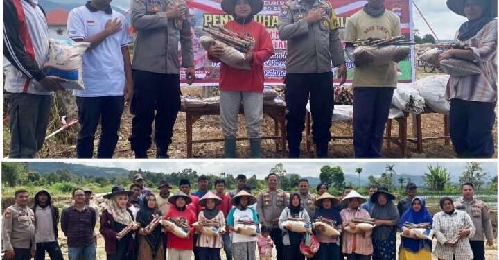 Kapolsek Gunung Talang AKP Defrianto dan Bhabinkamtibmas Sosialisasikan Pemanfaatan Lahan Untuk Ketahanan Pangan