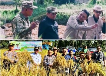Inovasi Basawah Pokok Murah, Gebrakan Jon Firman Pandu – H. Candra untuk Petani Solok Lebih Sejahtera dan Mandiri