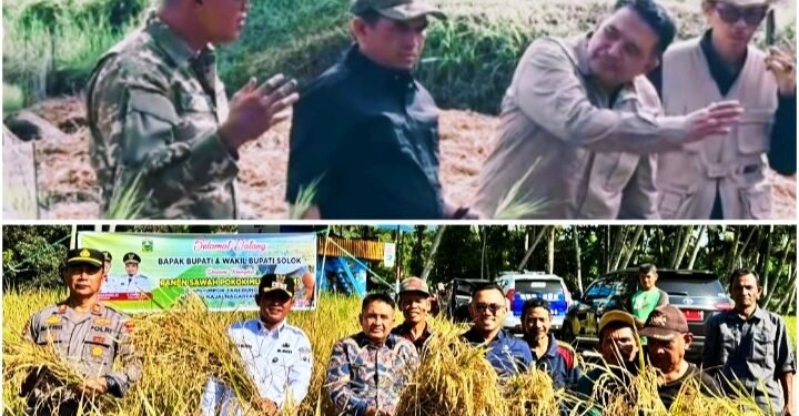 Inovasi Basawah Pokok Murah, Gebrakan Jon Firman Pandu – H. Candra untuk Petani Solok Lebih Sejahtera dan Mandiri
