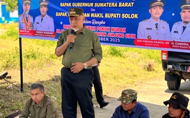 Dongkrak Produksi Padi di Kabupaten Solok Gubernur Sumbar Puji Inovasi “Sawah Pokok Murah”