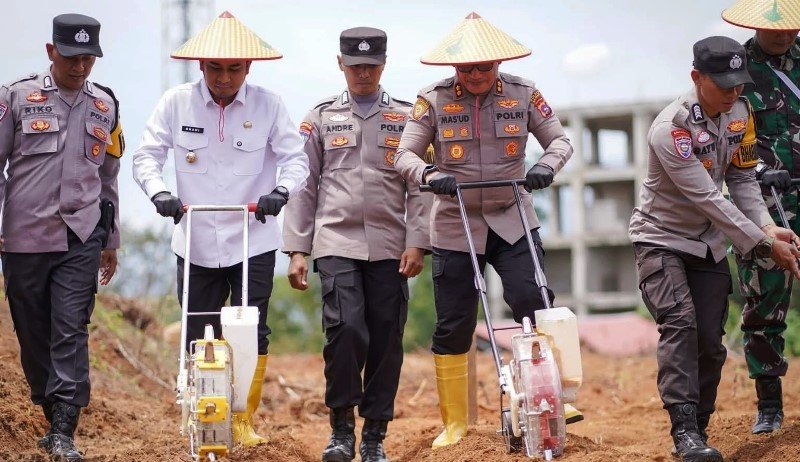 Dukung Program Ketahanan Pangan Wali Kota Solok dan Kapolda Sumbar Tanam Jagung Serentak